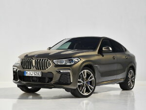 Коврики текстильные для BMW X6 III (suv / G06) 2019 - Н.В.