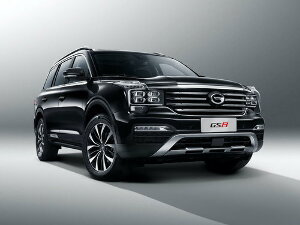 Коврики EVA для GAC GS8 I (suv / J2F5, J2F5B) 2016 - Н.В.