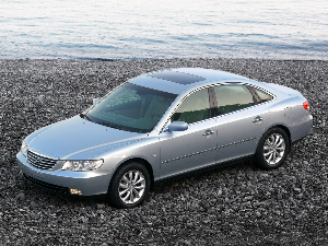 Коврики EVA для Hyundai Grandeur IV (седан / TG) 2005 - 2009