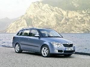 Коврики EVA для Skoda Fabia II (универсал / 5J5) 2007 - 2010