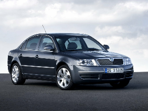 Коврики EVA для Skoda Superb I (седан / 3U) 2006 - 2008