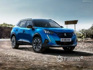 Коврики EVA для Peugeot e-2008 II (suv / Электро) 2020 - Н.В.