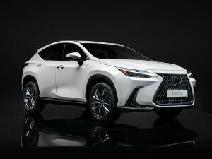 Коврики EVA для Lexus NX 250 II (suv / SUV) 2021 - Н.В.