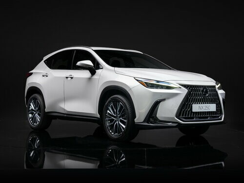 Коврики ЭВА "EVA ромб" для Lexus NX 250 II (suv / SUV) 2021 - Н.В., черные, 5шт.