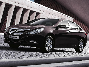 Коврики EVA для Hyundai Sonata VI (седан / YF) 2010 - 2013