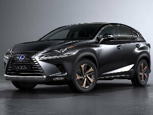 Коврики EVA для Lexus NX 300h (suv, гибрид / AYZ15) 2014 - 2021