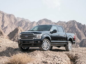 Коврики текстильные для Ford F150 (пикап / P552) 2017 - 2020